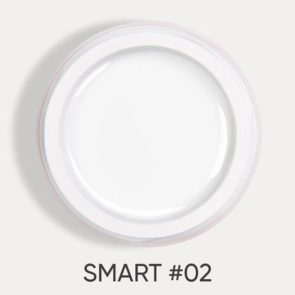 DARK Smart Builder Gel 02, 22ml 16287 фото
