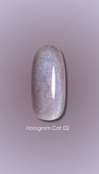 Гель лак Dark Hologram Cat 02, 6ml 19944 фото