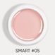 DARK Smart Builder Gel 05, 22ml 16290 фото 2