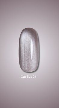 Гель лак Dark Cat Eye 23, 10ml 20241 фото