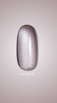 Гель лак Dark Cat Eye 26, 10ml 20244 фото