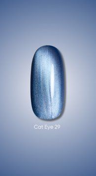 Гель лак Dark Cat Eye 29, 10ml 20247 фото