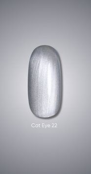 Гель лак Dark Cat Eye 22, 10ml 20240 фото