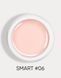 DARK Smart Builder Gel 06, 30ml 19455 фото 1