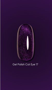 Dark Gel polish Cat Eye 17, 6ml 18322 фото