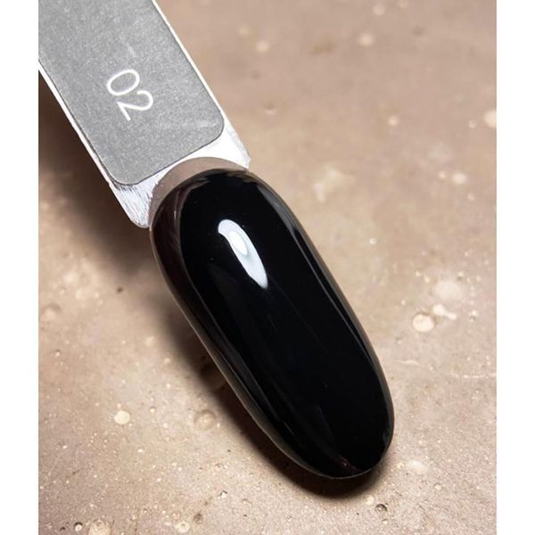 Гель лак Dark 02, 10ml 16416 фото