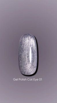 Гель лак Dark Cat Eye 01, 10ml 19675 фото
