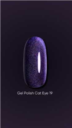  Зображення Dark Gel polish Cat Eye 19, 6ml 