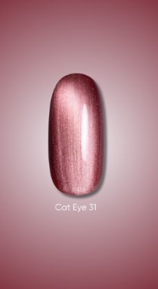  Зображення Гель лак Dark Cat Eye 31, 10ml 