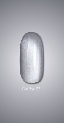  Зображення Гель лак Dark Cat Eye 22, 10ml 
