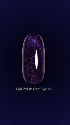  Зображення Dark Gel polish Cat Eye 18, 6ml 