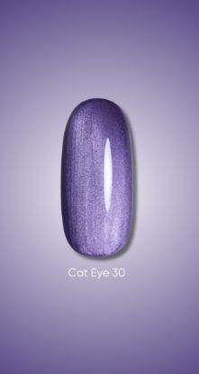  Зображення Гель лак Dark Cat Eye 30, 10ml 