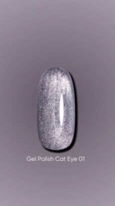  Зображення Гель лак Dark Cat Eye 01, 10ml 